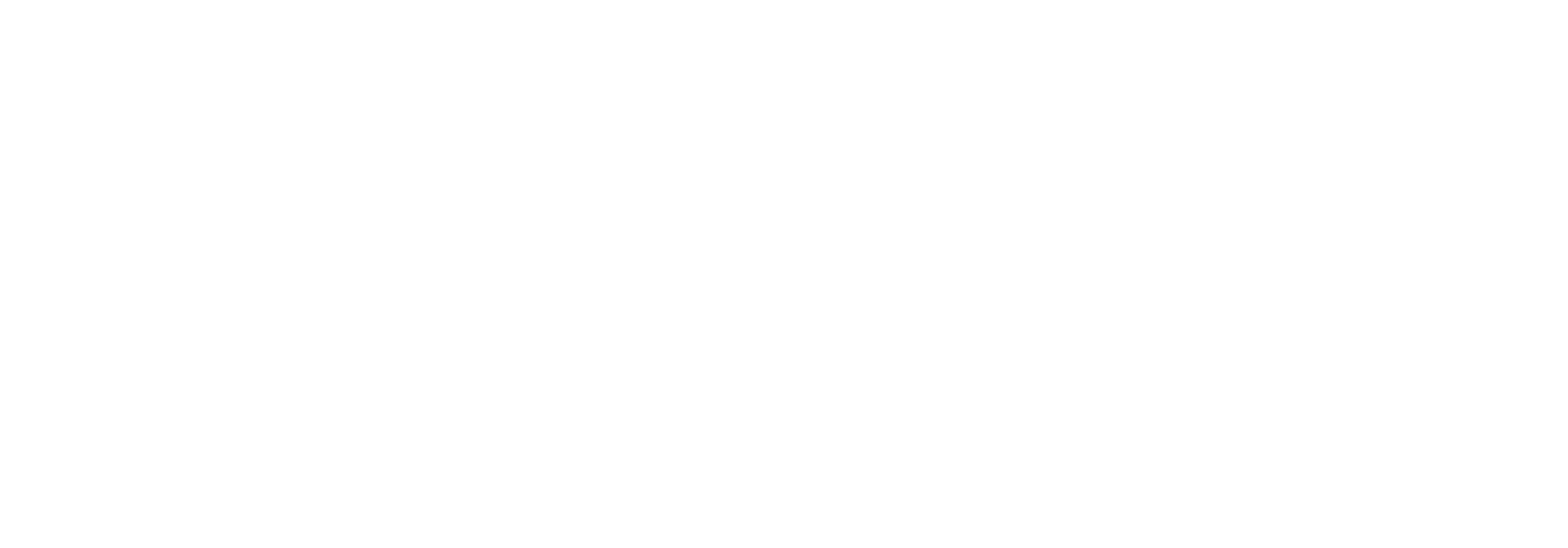 ThirdLaw branding and web design - Wundef Media Logo