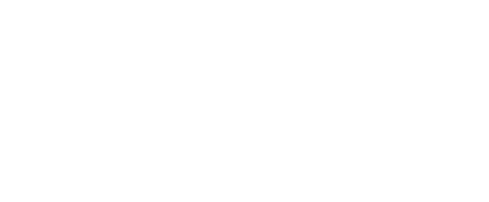 ThirdLaw branding and web design - Career Wheel-White Logo