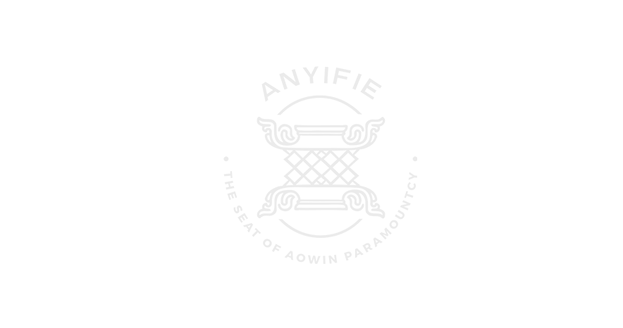ThirdLaw branding and web design - Anyifie Logo