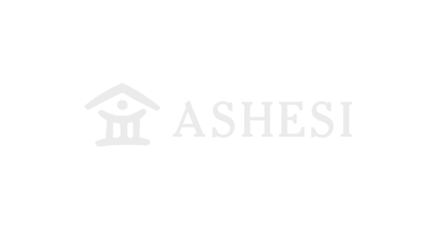 ThirdLaw branding and web design -Ashesi Logo