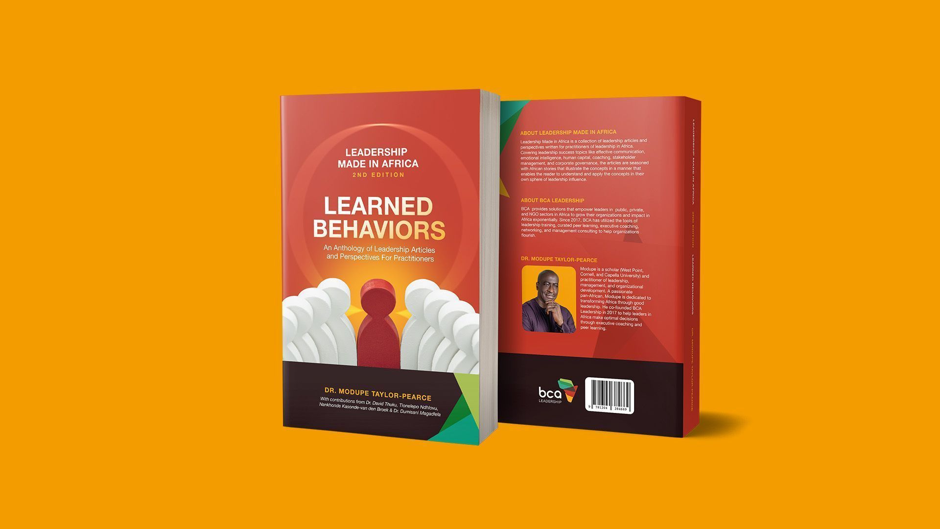 ThirdLaw branding and web design - Leadership in Africa - Learned Behaviors-6