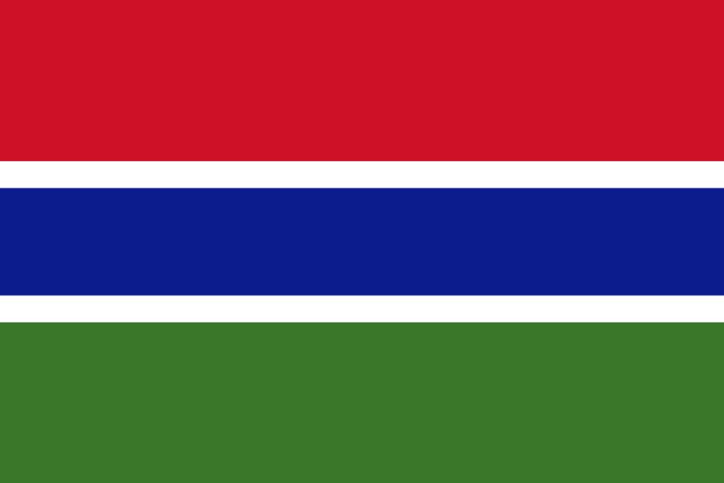 ThirdLaw branding and web design - Gambia Flag