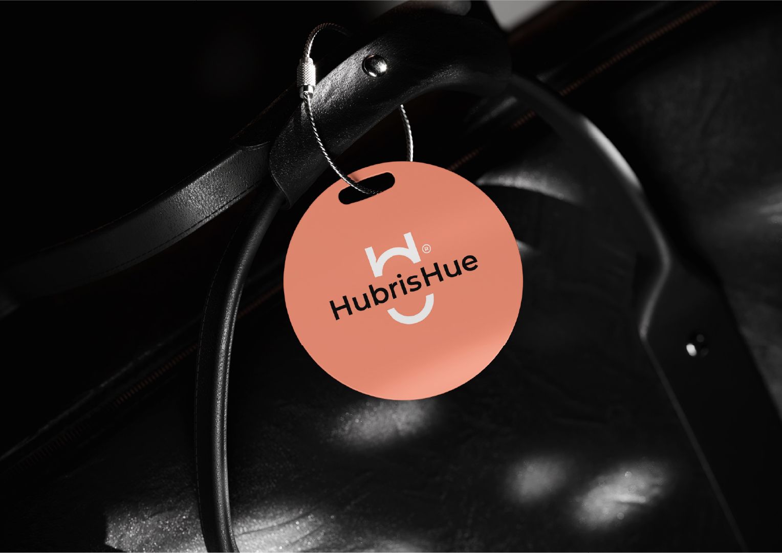 ThirdLaw branding and web design - Hubris Hue3
