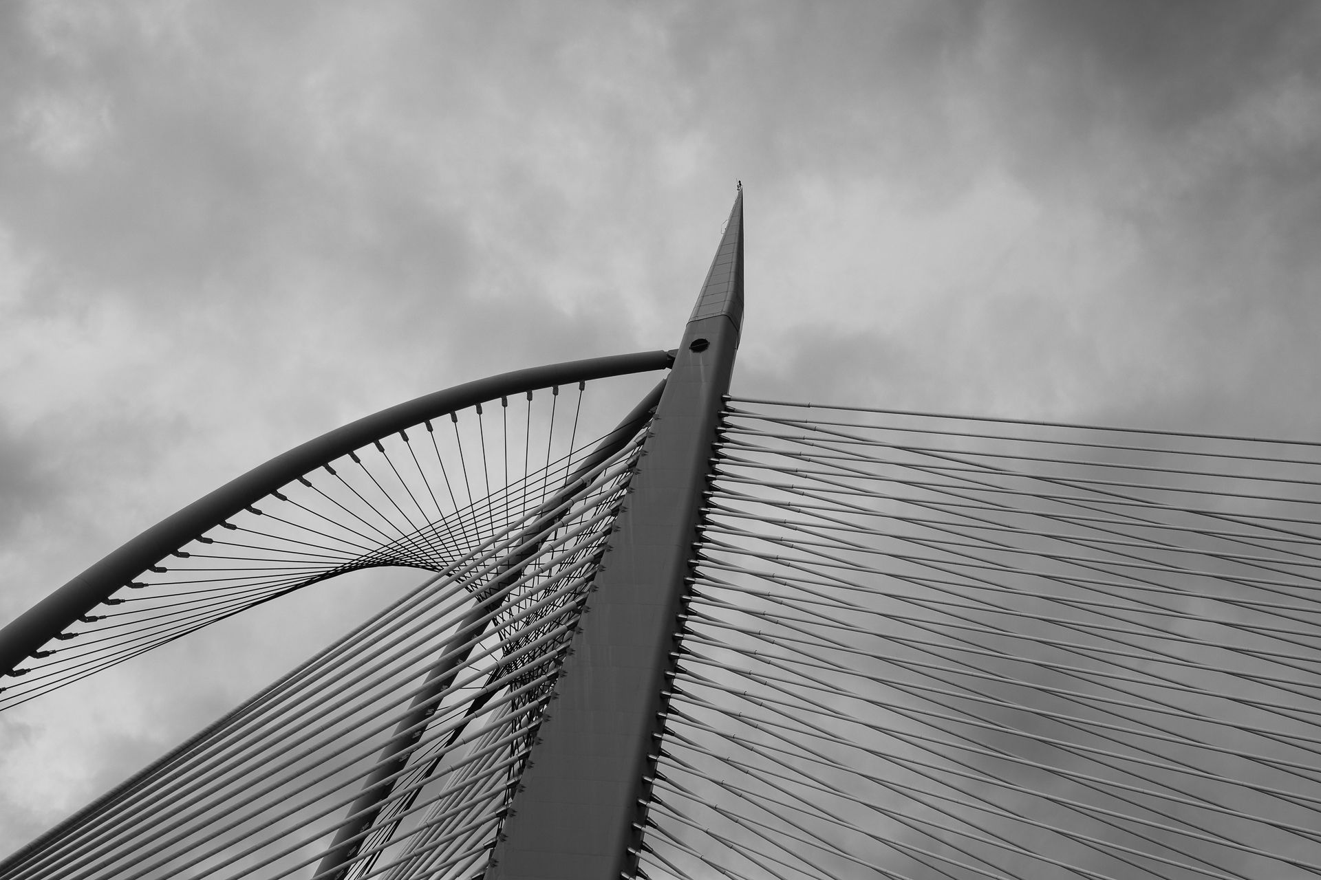 ThirdLaw branding and web design5