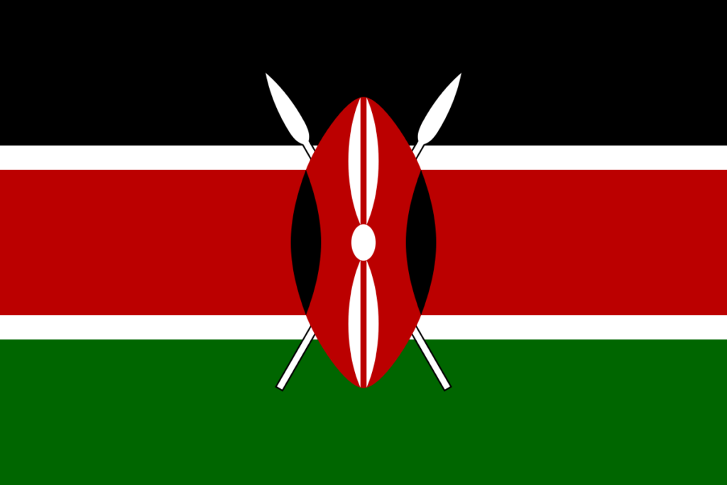 ThirdLaw branding and web design - Kenya Flag